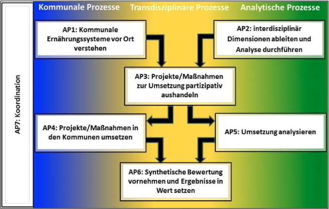 Grafik Projektablauf