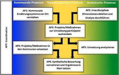 Grafik Projektablauf