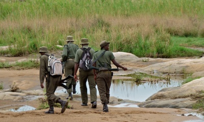 poaching_patrol