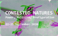 Organization of Panel at the POLLEN Conference (September 2020)